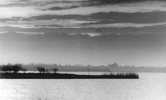 Blick über den Dassower See (1990)