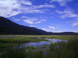 Zirknitzer See nahe dem Dorf Otok