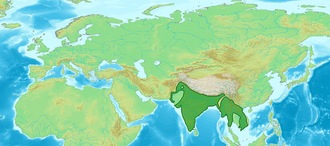 Karte Eurasiens mit grün eingezeichneter Verbreitung der Wanderbaumelster