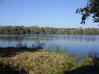 Dunger See (Blick vom Beobachtungsstand südlich des Sees)