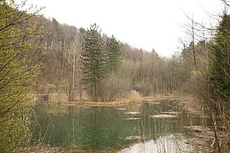 Franzosenweiher 2.jpg