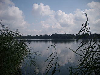 Großer Müllroser See, Westufer