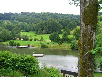 Guckaisee (Rhön) im Juni