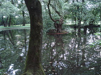 Der Hannewackersee auf der Großmutterwiese