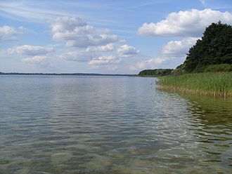 Jezioro Miedwie.jpg