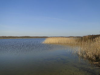 Massower See vom Kornhorster Ufer