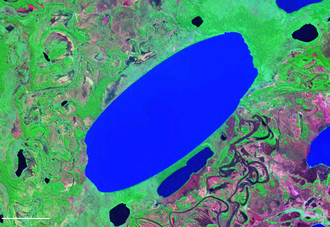 Satellitenbild in Falschfarben