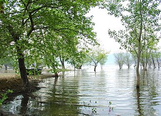 Ufer des Volvi-Sees