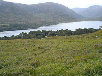 Loch Affric - geograph.org.uk - 57627.jpg