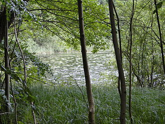 Blick auf den Praassee vom Ostufer