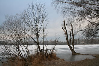 Olchinger See im Winter