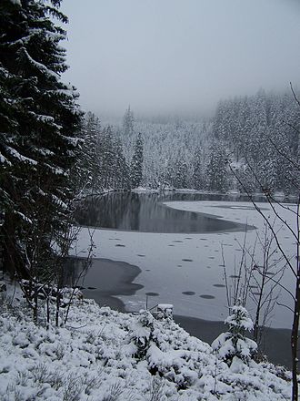 Der Stubenbacher See im Winter