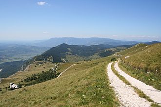 Blick vom Bergzug des Nanos auf den Birnbaumer Wald