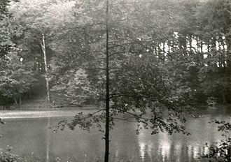 Blick auf den See im Jahr 1979
