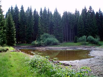 Rennsteigteich nach seiner Zerstörung