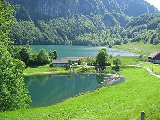 Seelisberg Wyher vor dem Seelisbergsee