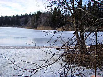 Der Eßsee im Winter.