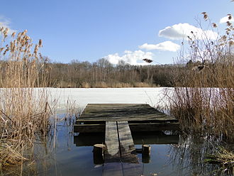 Großer Teich Anfang März 2010