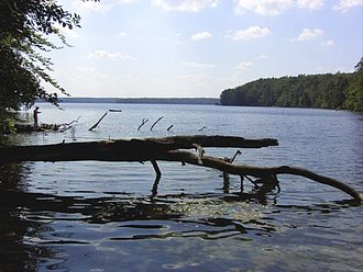 Der Große Stechlin