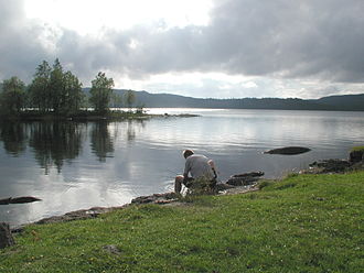 Storflåtan