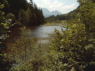 Nordwestufer, Blick nach Süden