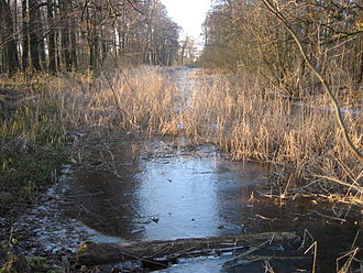 Blick vom Nord- zum Südufer des Woogsees