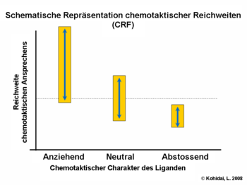 Schematische Repräsentation chemotaktischer Reichweiten (CRF) 