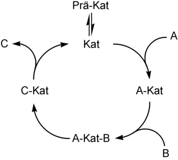 Katalytischer Zyklus