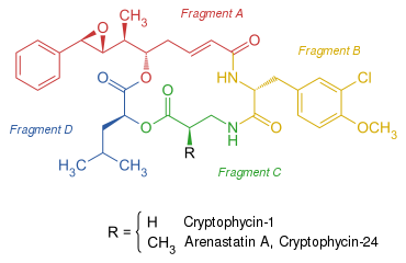 Strukturformel der Cryptophycine Cryptophycin-1 und Arenastatin A