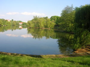 Der Obersee im Sommer