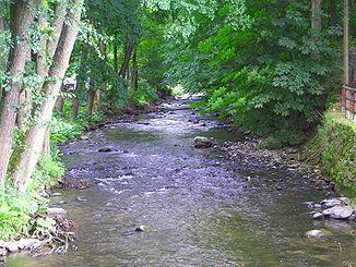 Ölschnitz (Weißer Main) im Kurpark Bad Berneck