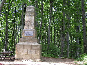 Schöffelstein im dichten Buchenwald