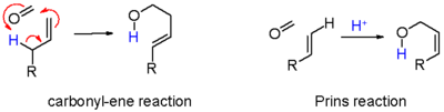 Schema 6: Carbonyl-En-Reaktion versus Prins-Reaktion.