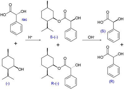 Kinetische Racematspaltung, Veresterung von racemischer Mandelsäure mit optisch aktivem (−)-Menthol nach Marckwald und McKenzie