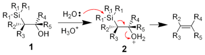 The mechanism of the acid-catalyzed elimination of the Peterson olefination