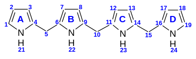 Nummerierung der Tetrapyrrole