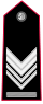 Carabinieri-OR-9a.svg