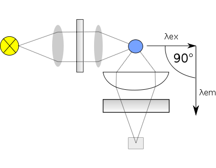 Fluorimeter.svg