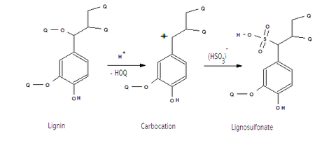 Generalized structure of lignosulfonates