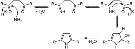 Synthese von Pyrrol durch eine Paal-Knorr-Synthese.