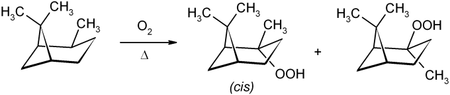 Oxidation zum Pinan-2-Hydroperoxid