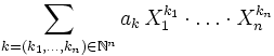  \sum_{k=(k_1,\ldots,k_n)\in\mathbb{N}^n} {a_k\, X_1^{k_1}\cdot\ldots\cdot X_n^{k_n}} 