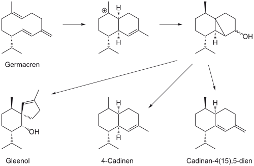 Axanane Biosynthese.svg
