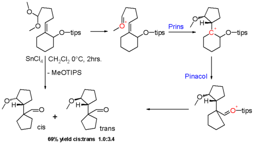 Scheme 8. Prins-Pinakol-Reaktion