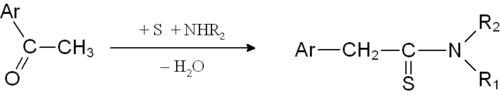 Mechanismus der Willgerodt-Kindler-Reaktion