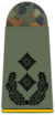 261-Oberstleutnant.png