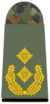 321-Generalmajor.png