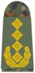 341-General.png