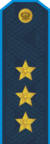 RFAF - Colonel-general - Every day blue.png