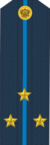 RFAF - Senior Lieutenant - Every day blue.png